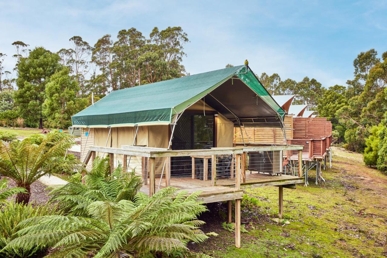 Nrma Port Arthur Holiday Park Extérieur photo